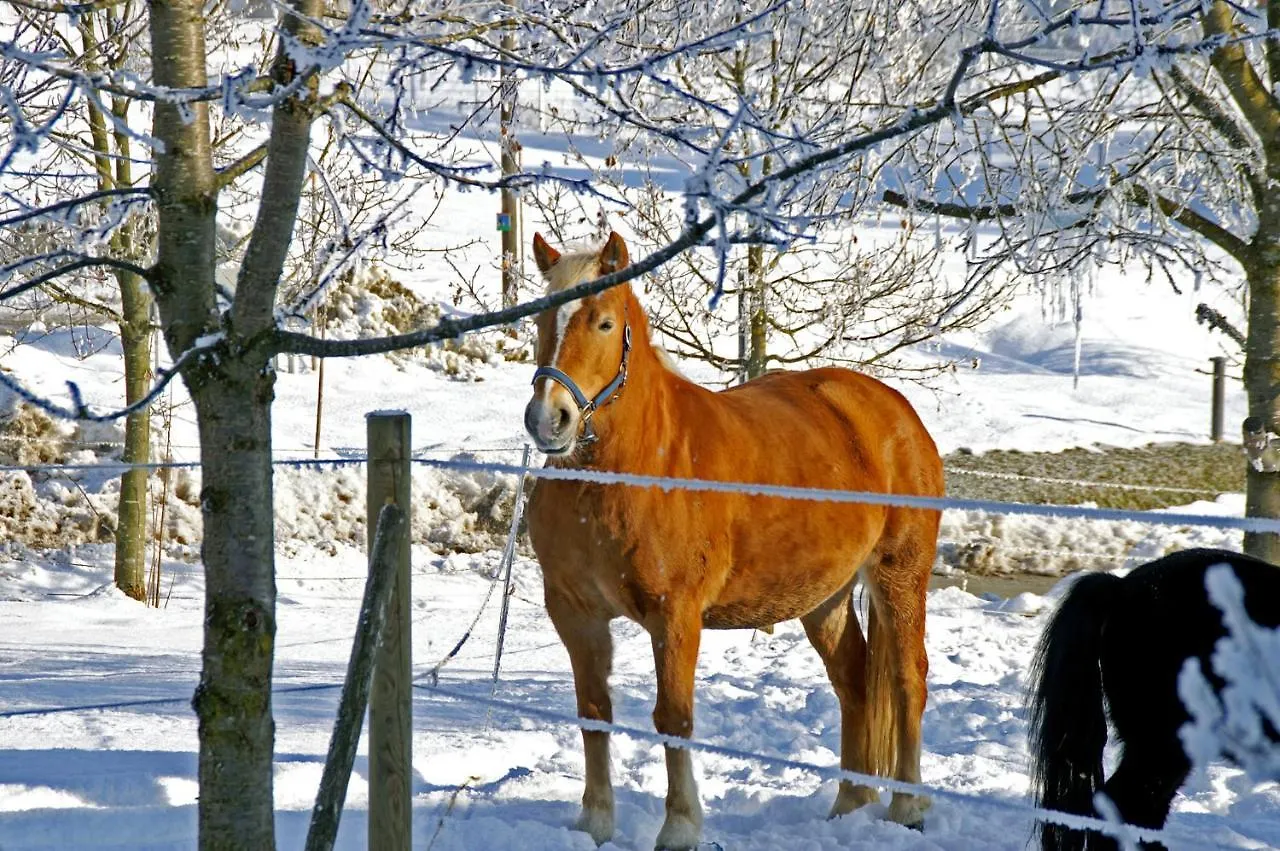Ferienwohnung Hofleben Reiner Neukirchen vorm Wald
