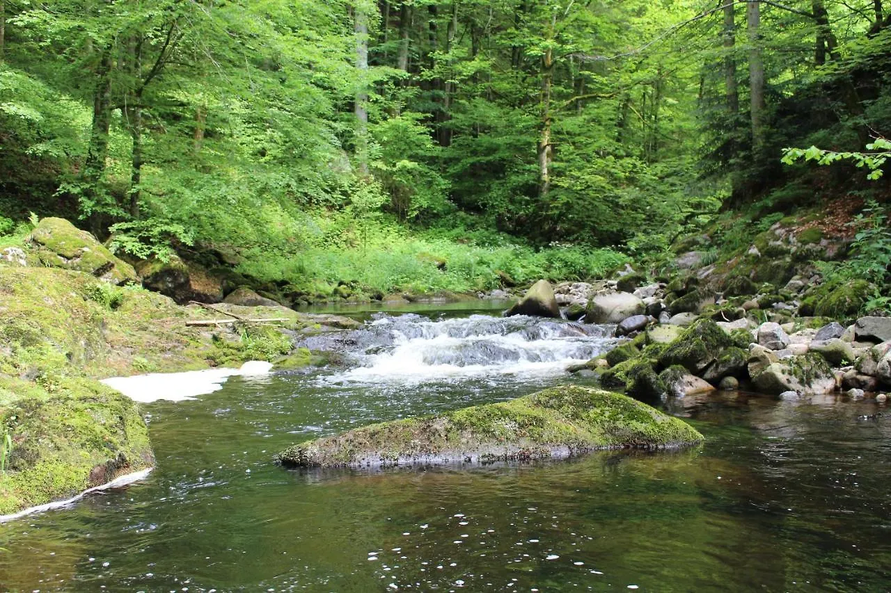 Ferienwohnung Hofleben Reiner Neukirchen vorm Wald Apartment